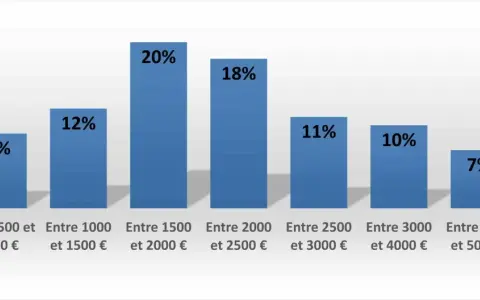 Graphique montrant la répartition des salaires. Le marqueteur peut espérer un salaire entre 1500 et 2000€ (20%).