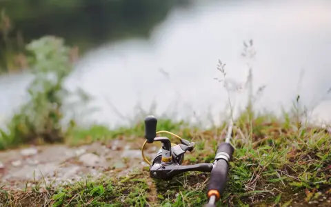 Wędka i kołowrotek leżą na trawie nad wodą, gotowe do połowu. Czas na tarło ryb!