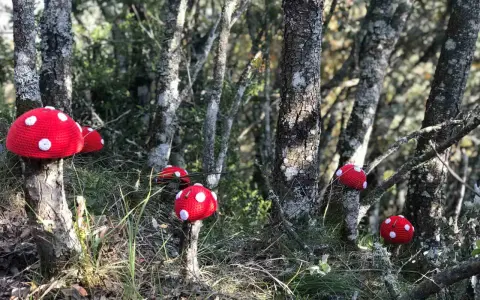Hongos rojos tejidos adornan la ruta de los duendes en el bosque.
