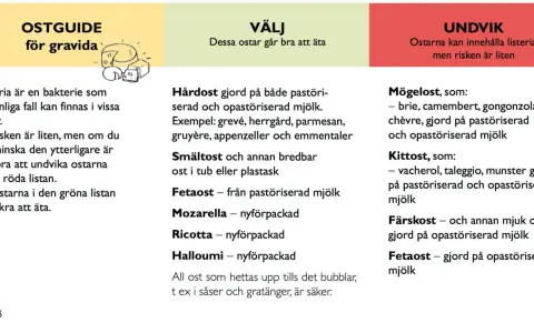 Ostguide för gravida: Välj ostar som mozzarella, ricotta, halloumi. Undvik mögelost och färskost gjord på opastöriserad mjölk. Burrata gravid? Välj pastöriserad.