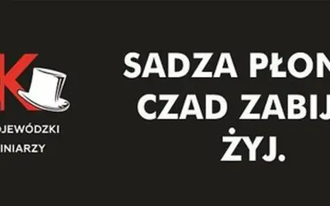 Kominiarz nie wystawi mandatu! Kto i za co ukarze za stan komina?