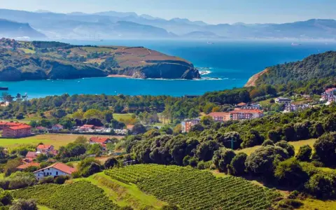 Viñedos y casas con tejados rojos se extienden hasta la costa vasca, un paisaje que evoca el sabor del chacolí de Bilbao.