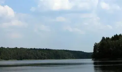 Rezerwat przyrody Bachotek - odkryj jego unikalne piękno i przyrodę