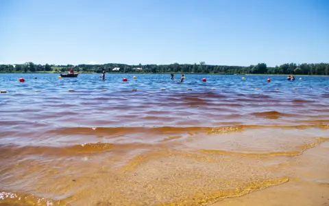 Słoneczny dzień nad zalewem. Ludzie kąpią się, pływają łódką, a czerwone i żółte boje wyznaczają bezpieczną strefę.
