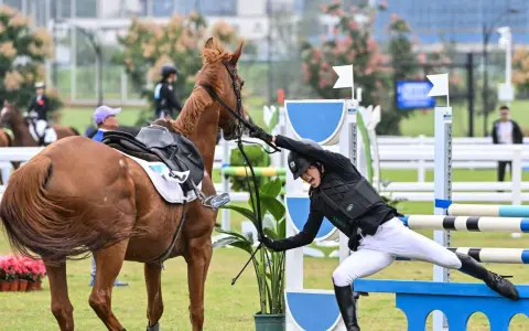 Une cavalière chute lors de l'épreuve d'équitation du pentathlon moderne, son cheval s'arrête brusquement.
