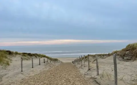Spiagge Amsterdam: Guida alle Mete Vicine (Zandvoort, Scheveningen)