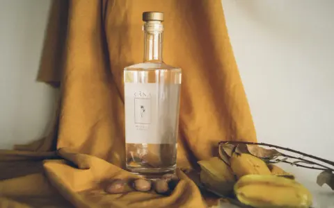 Butelka Cachaça Cãna, brazylijskiego alkoholu z trzciny cukrowej, otoczona owocami i suchymi liśćmi. Cachaca co to? To brazylijski skarb!
