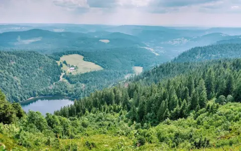 Widok na jezioro otoczone lasami i pagórkami. To jedno z najpiękniejszych miejsc w Schwarzwaldzie, gdzie natura zachwyca spokojem i zielenią.
