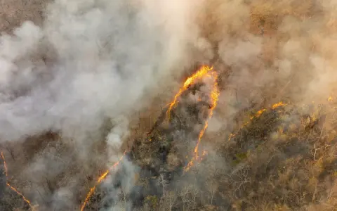 Globalne emisje CO2: Rekordy, liderzy, prognozy. Czy zatrzymamy wzrost?