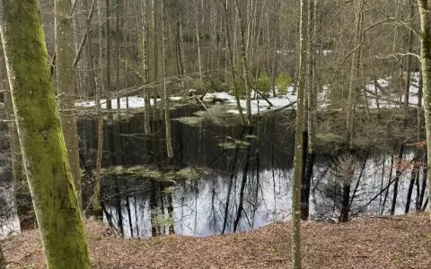 Rezerwat przyrody Lubygość: piękne krajobrazy i unikalna fauna