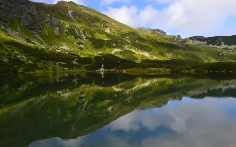 Zielony staw gąsienicowy w Tatrach odbija skaliste zbocza gór porośnięte trawą i kosodrzewiną.