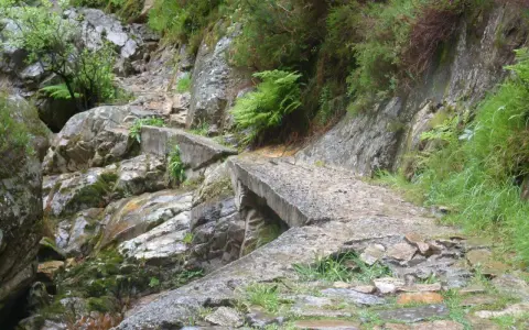 Un puente de hormigón deteriorado cruza un arroyo rocoso en la ruta del alba, rodeado de vegetación exuberante y rocas cubiertas de musgo.
