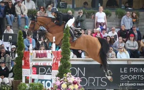 Une cavalière en plein saut, peut-être le meilleur cavalier du monde, sur son cheval brun, devant un public attentif.