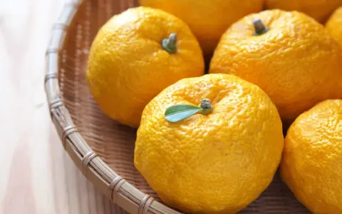 Kilka żółtych owoców yuzu w wiklinowym koszyku. Zastanawiasz się yuzu co to? To cytrus o intensywnym aromacie.