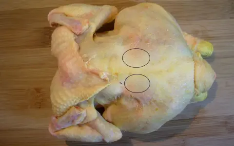 Un poulet cru sur une planche à découper en bois. Deux cercles noirs entourent des zones de chair où l'on voit des fibres musculaires. On dirait que le sot l'y laisse.