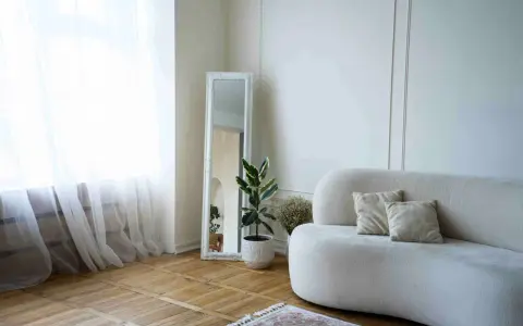 Elegante decoracion salon pequeño con sofá curvo, espejo antiguo y planta.