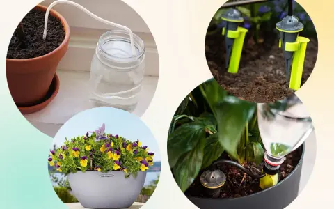 Självvattnande system för blommor, perfekt för att vattna blommor under semestern.
