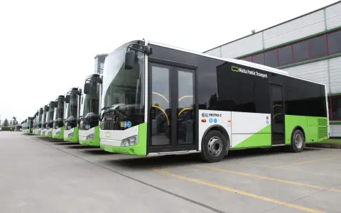 Una fila di autobus moderni, con livrea bianca e verde brillante, pronti per il servizio. Il segnale 142 è visibile su uno dei bus.