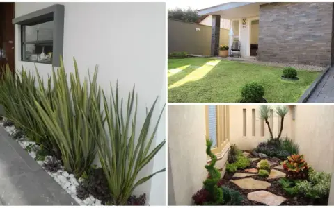 Idee per come abbellire un giardino con pochi soldi: piante decorative, ghiaia bianca e sentieri in pietra creano un angolo verde accogliente.