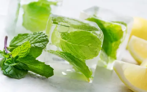 Eiswürfel mit Minze und Zitrone, perfekt zum **Minze einfrieren** für erfrischende Getränke.