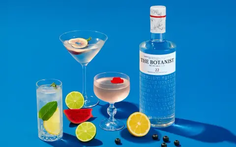 Drinki z ginem: Zostań mistrzem domowego baru! Przepisy i porady
