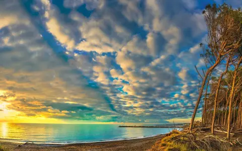 Tramonto su una spiaggia toscana, con pini marittimi e un mare calmo. Un'immagine perfetta per scoprire località mare toscana economiche.