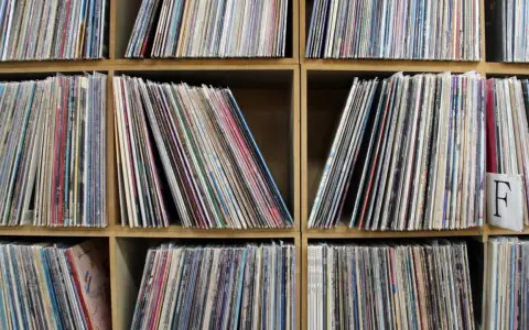 Regale voller Schallplatten, bereit für eine Session mit **ska musik**. Jede Hülle birgt einen Schatz an Rhythmen und Melodien.