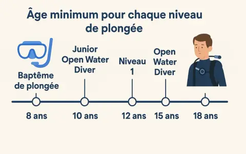 Infographie montrant les âges minimums pour différents niveaux de plongée, de 8 à 18 ans.
