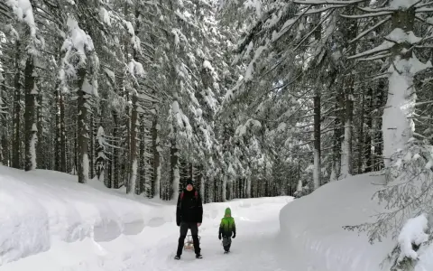 Dwie osoby na zaśnieżonym szlaku w lesie. Dziecko w zielonej kurtce idzie przodem, a za nim dorosły z sankami. Śnieg pokrywa drzewa i ścieżkę, tworząc zimowy krajobraz.