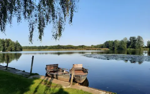 Zwei Ruderboote liegen am Ufer des Schwaigfurter Weihers. Über ihnen hängen Birkenzweige im sanften Licht.