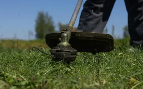 Zbliżenie na głowicę podkaszarki z żyłką, gotową do pracy. Dowiedz się, jak założyć żyłkę do podkaszarki i przywrócić jej moc.