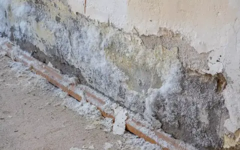 Mur dégradé par l'humidité, recouvert de salpêtre blanc. Une canalisation en terre cuite est visible à la base. Il faut nettoyer ce salpêtre.