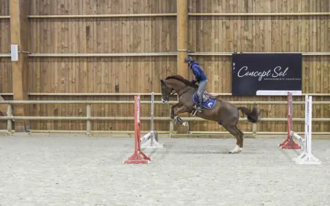 Cavalier et cheval sautent un obstacle dans un manège couvert, rappelant l'ambiance du lido de Camaiore.
