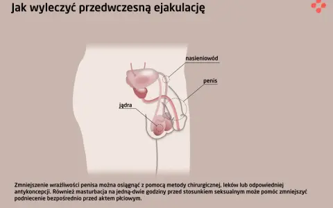 Ilustracja układu rozrodczego męskiego, omawiająca metody leczenia problemów z wytryskiem, w tym zmniejszenie wrażliwości penisa.