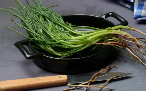 Mazzo di agretti freschi con radici, pronti per essere cotti in padella. Un coltello è appoggiato accanto.