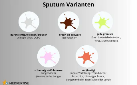 Sputum-Varianten: verschiedene Schleim-Farben bei Erkrankungen wie Asthma, COPD oder Infektionen.