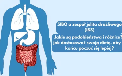 Sylwetka człowieka z widocznymi płucami, żołądkiem i jelitami.