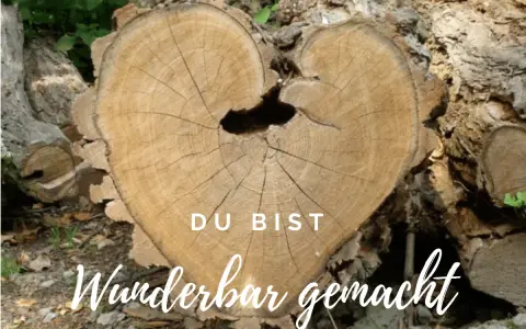 Herzförmiger Baumstamm mit Jahresringen, der an Psalm 139,14 erinnert: "Ich danke dir dafür, dass ich auf wunderbare Weise gemacht bin.