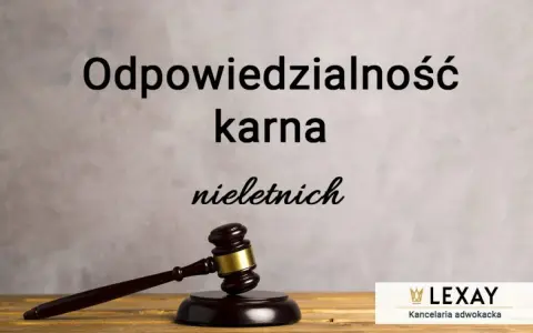 Prawnik może być karany? Rodzaje odpowiedzialności i konsekwencje
