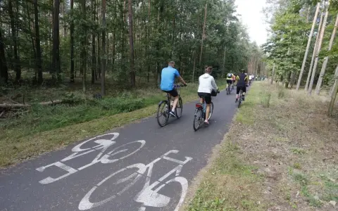 Grupa rowerzystów przemierza leśne trasy rowerowe Bydgoszcz. Ścieżka jest oznakowana symbolami rowerów.