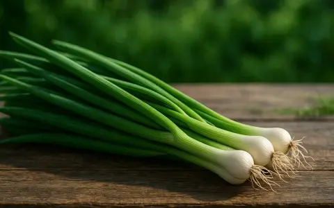 Trois oignons nouveaux, aux tiges vertes et bulbes blancs, reposent sur un bois rustique. Ils évoquent la fraîcheur de la ciboule et de la ciboulette.