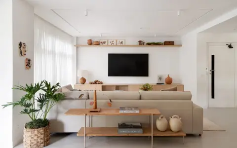 Estantería de madera con objetos decorativos, jarrones y cuadros. Un sofá beige y una planta grande complementan el espacio. Ideas de qué poner detrás del sofá.