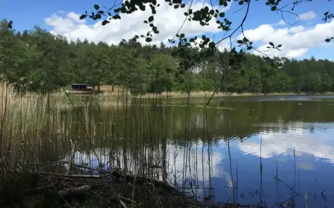 Spokojne jezioro Tuczno otoczone lasem, z trzcinami na brzegu i odbijającymi się chmurami w wodzie.