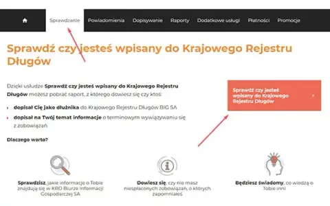 Jak sprawdzić, czy jesteś w KRD? Darmowy poradnik krok po kroku