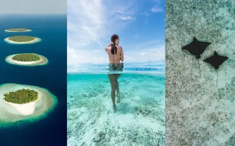 Wyspy na oceanie, kobieta w wodzie, płaszczki. Czy to Mauritius czy Malediwy? Rajskie widoki.