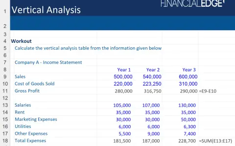 Spreadsheet showing a workout for vertical analysis of Company A's income statement across three years, with sales, cost of goods sold, and expenses listed.