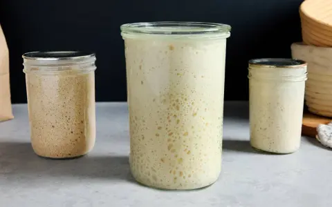 Trois bocaux de levain actif, montrant la proportion levain farine eau. Le levain est plein de bulles, signe de fermentation.