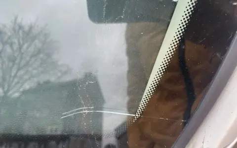 Widok przez przednią szybę auta z widoczną pękniętą szybą. W tle drzewo i budynek.