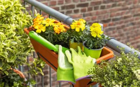 Balkonpflanzen sonne: Gelbe Blumen in einem orangen Kasten, bereit für die Pflege. Grüne Handschuhe und eine kleine Schaufel liegen daneben.
