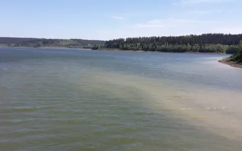 Blick über die Aabachtalsperre mit bewaldeten Ufern. Der Rundweg lädt zu Spaziergängen ein.